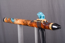 Tasmanian Blackwood Burl Native American Flute, Minor, Low E-4, #4L4L (2)